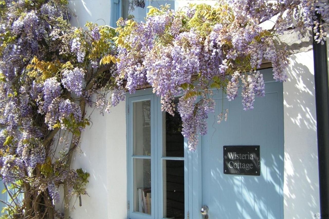Croyde Wisteria Cottage 4 Bedrooms Esterno foto
